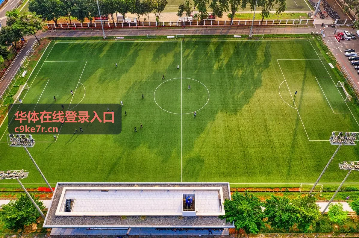 华体在线登录入口的登录流程说明配图