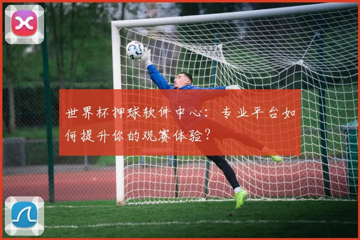 世界杯押球软件中心：专业平台如何提升你的观赛体验？