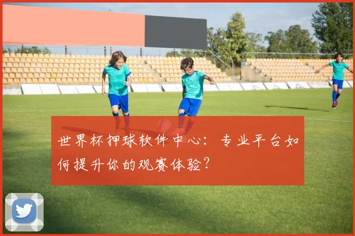 世界杯押球软件中心:专业平台如何提升你的观赛体验?
