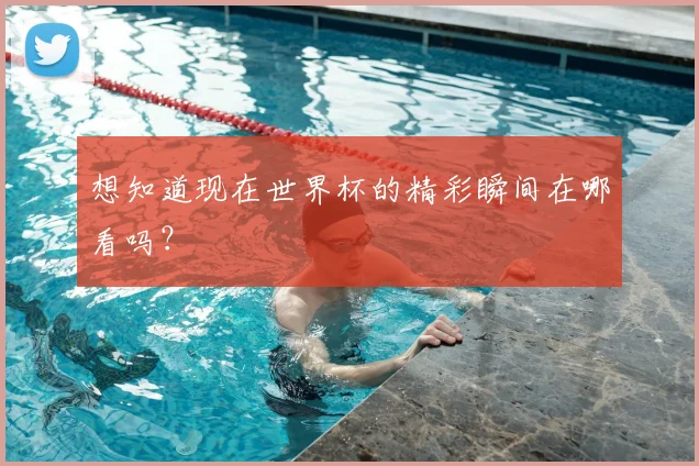 想知道现在世界杯的精彩瞬间在哪看吗？