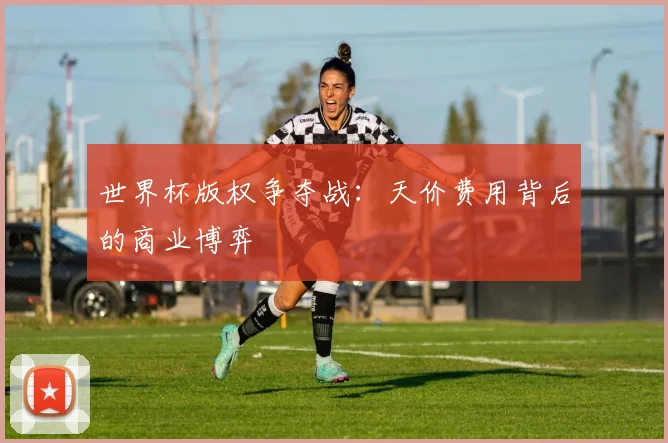 世界杯版权争夺战：天价费用背后的商业博弈