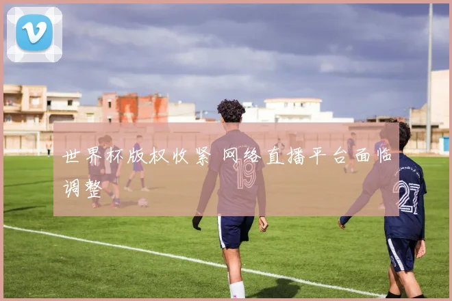 世界杯版权收紧 网络直播平台面临调整