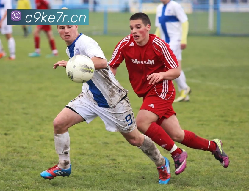 数据防护可视化